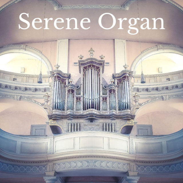 Couverture de Serene Organ