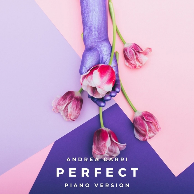 Couverture de Perfect