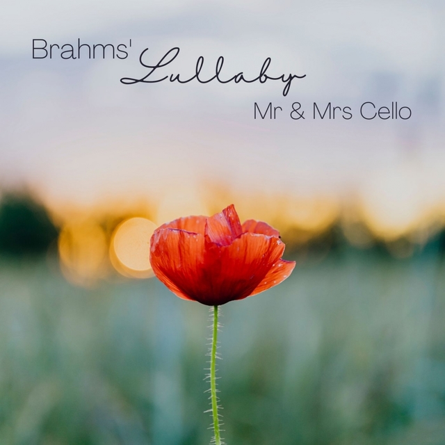 Couverture de 5 Lieder, Op. 49: No. 4, Wiegenlied. Zart bewegt "Brahms' Lullaby"