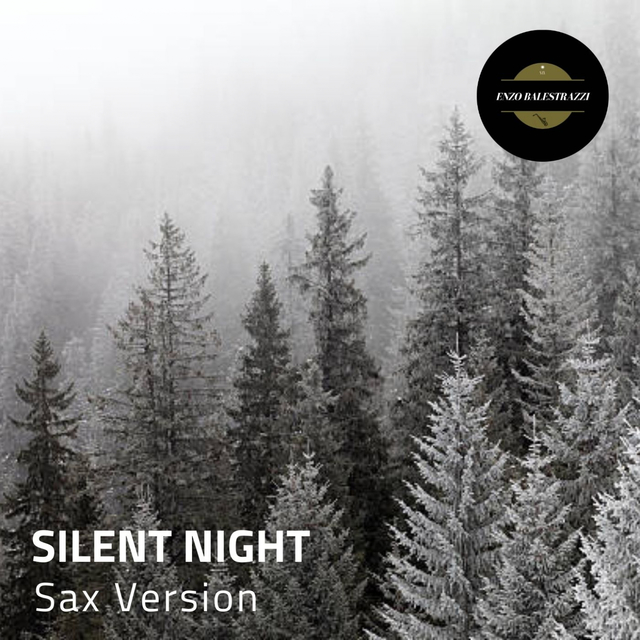 Couverture de Silent Night