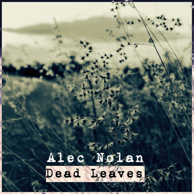 Couverture de Dead Leaves