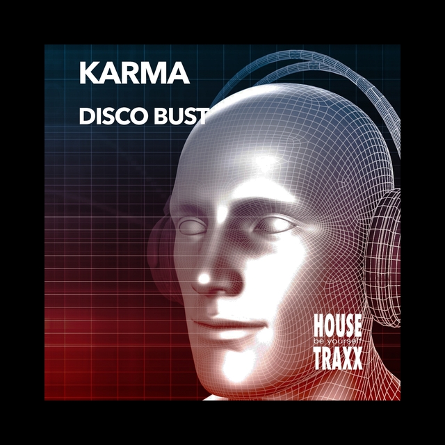 Disco Bust