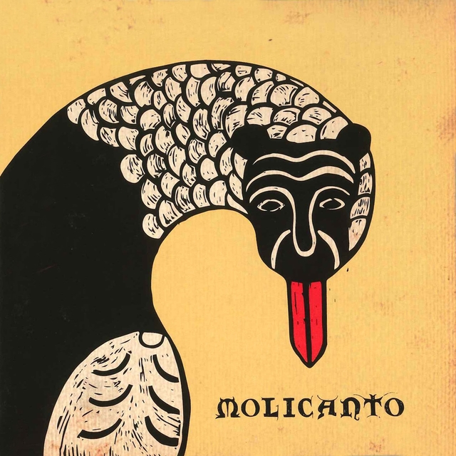 Molicanto