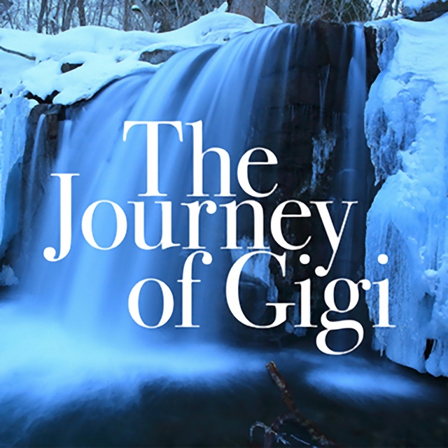 The Journey of Gigi
