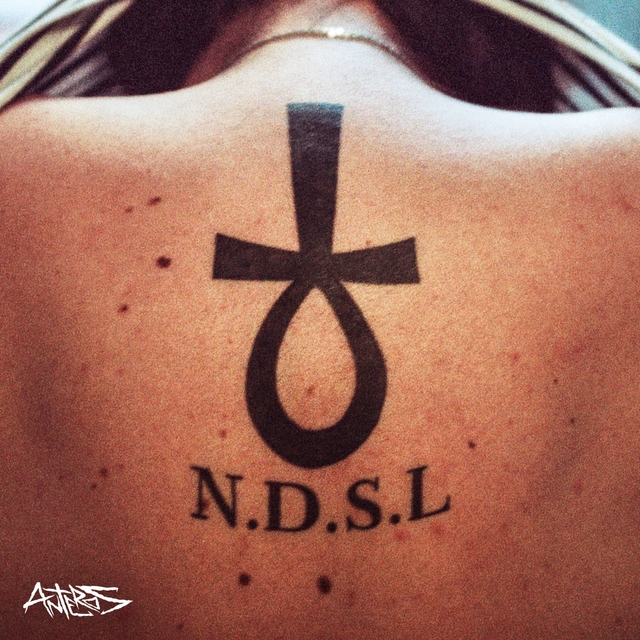 Couverture de N.D.S.L