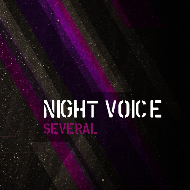 Couverture de Night Voice