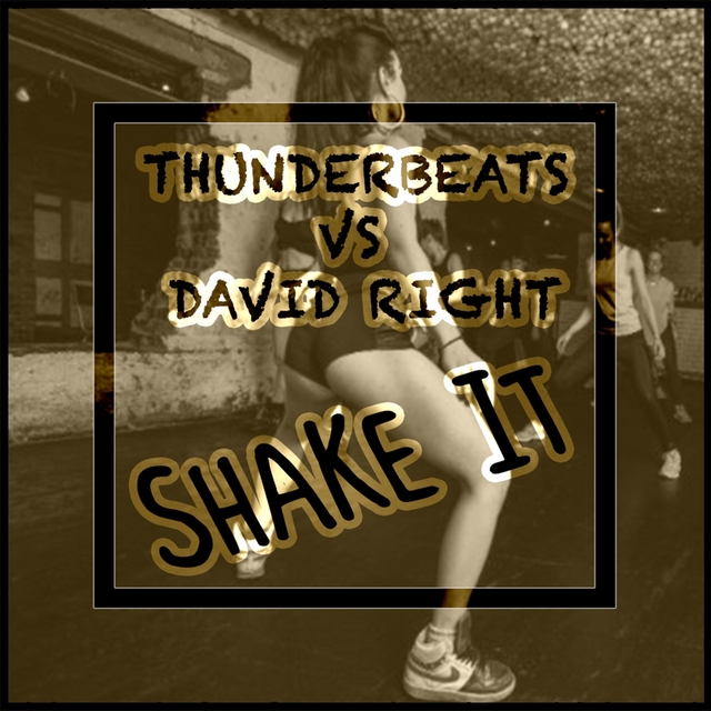 Couverture de Shake It