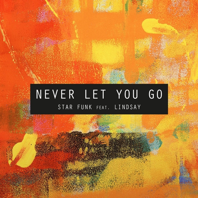 Couverture de Never Let You Go