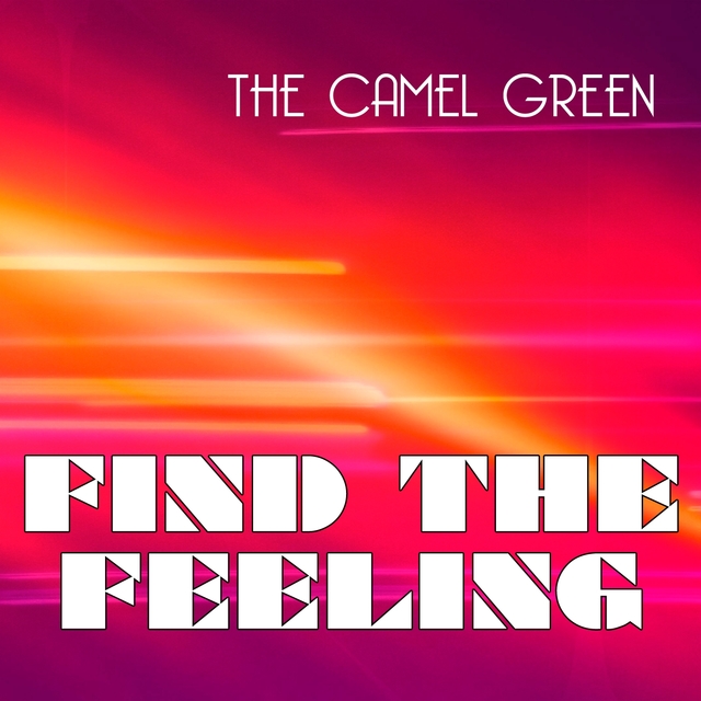 Couverture de Find the Feeling