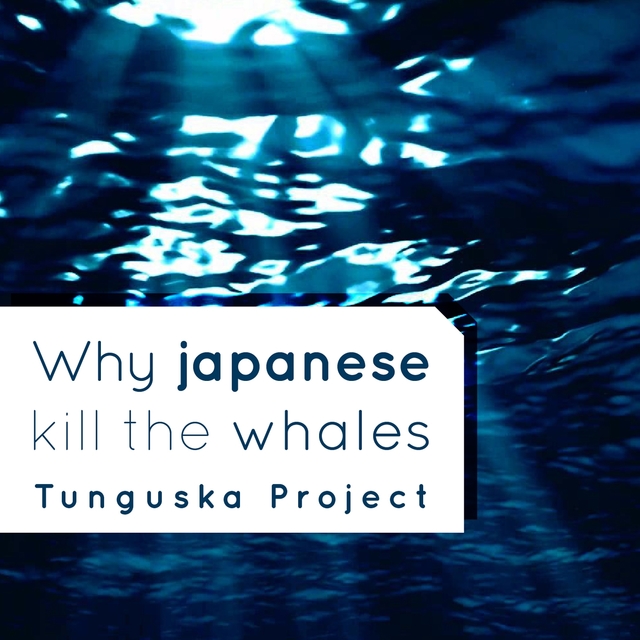 Couverture de Why Japanese Kill the Whales