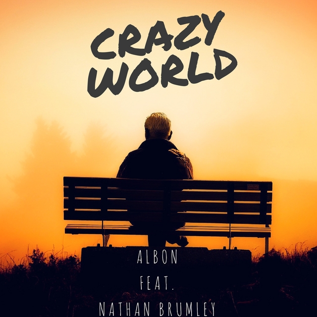 Couverture de Crazy World