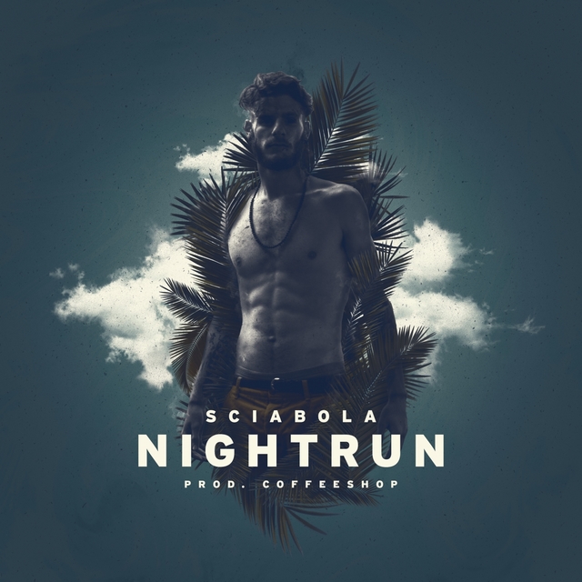 Couverture de Night Run