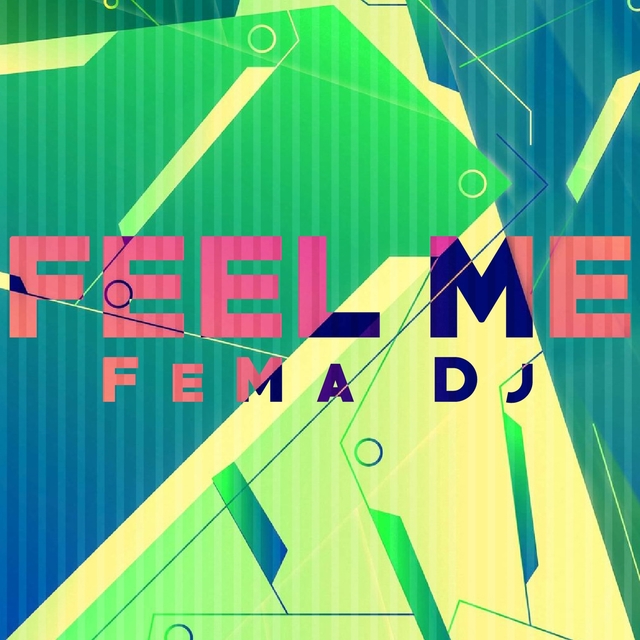 Couverture de Feel Me