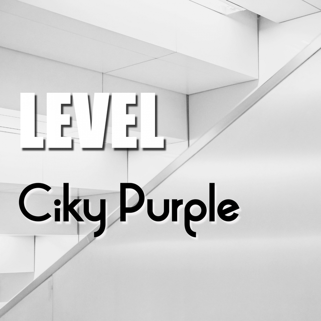 Level