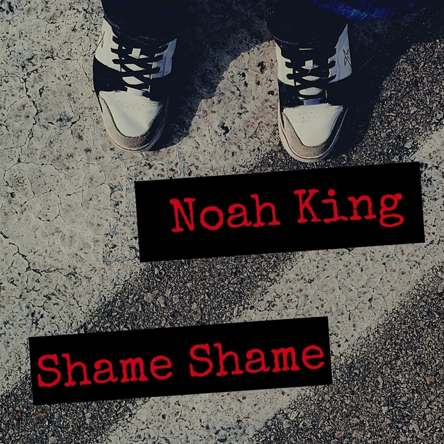 Couverture de Shame Shame