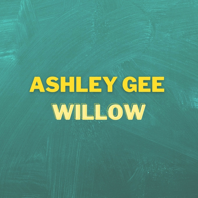 Couverture de Willow