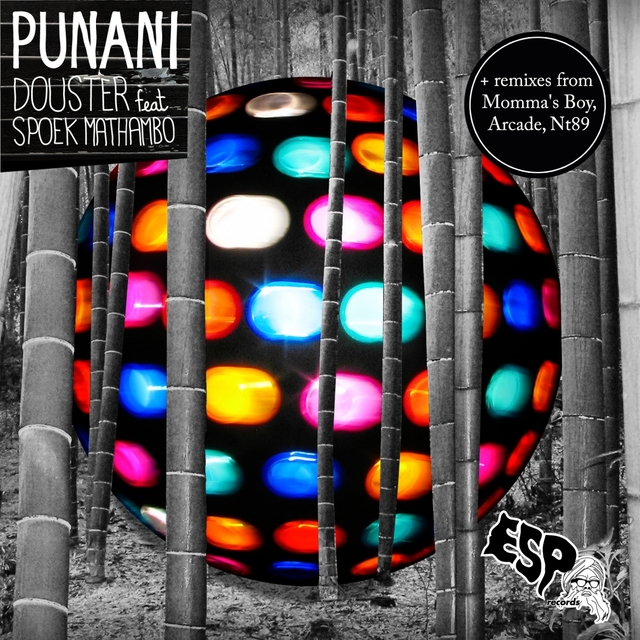 Couverture de Punani