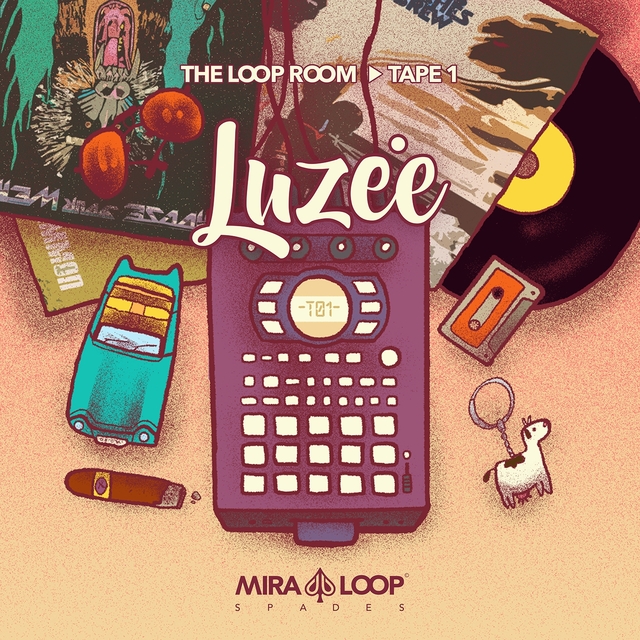 Couverture de The Loop Room