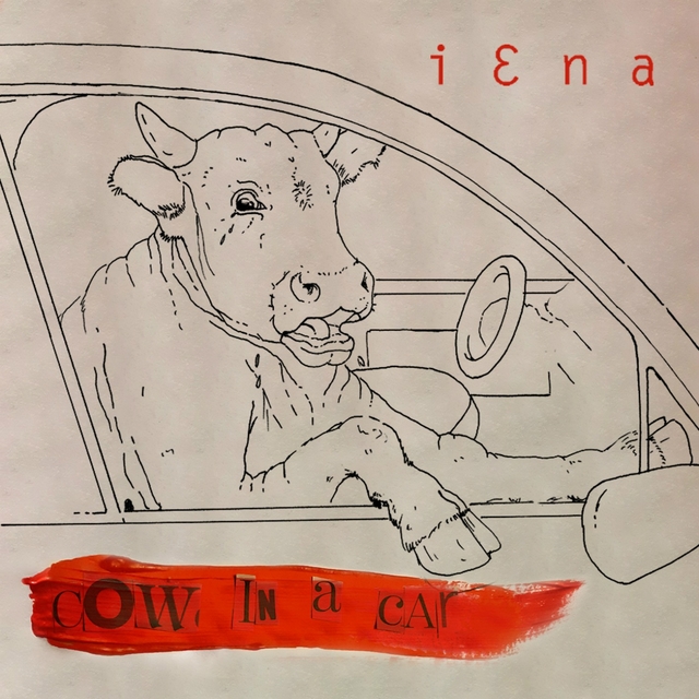 Cow in a Car