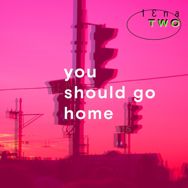 Couverture de You Should Go Home