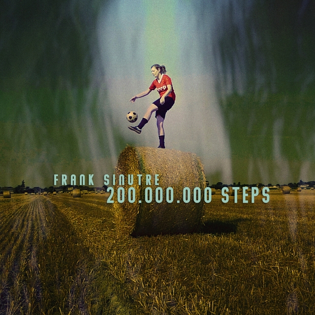 Couverture de 200.000.000 Steps