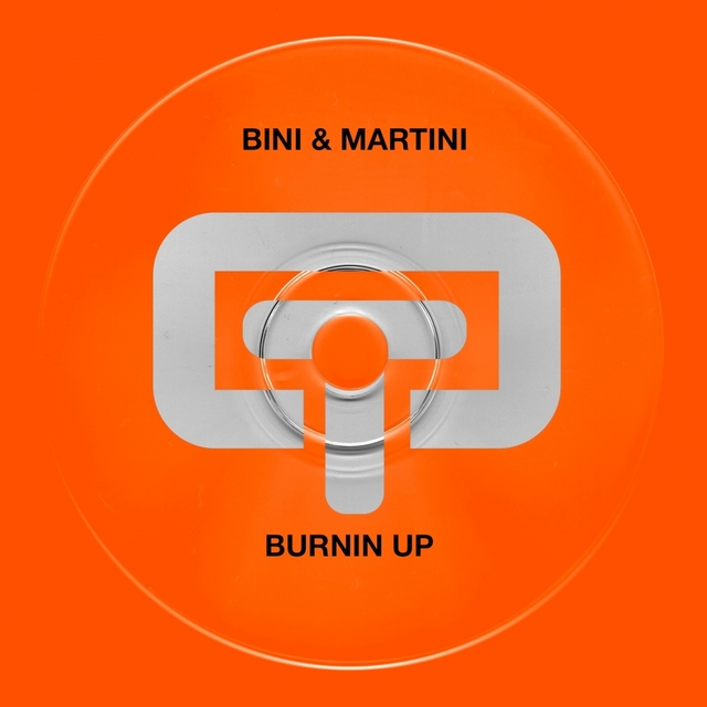 Couverture de Burning Up