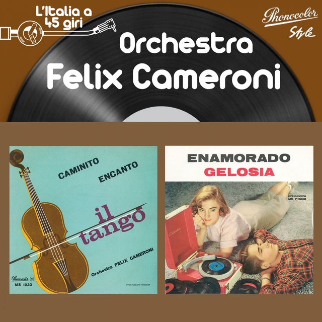 L'italia a 45 giri: orchestra felix cameroni