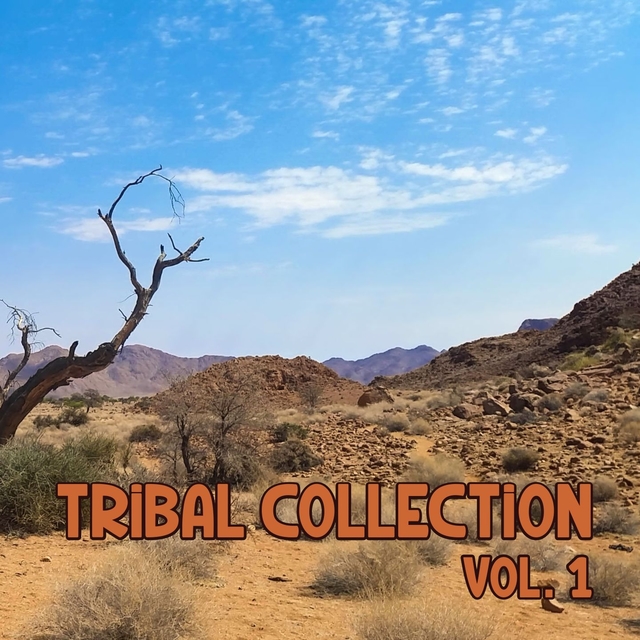 Couverture de Tribal Collection, Vol. 1