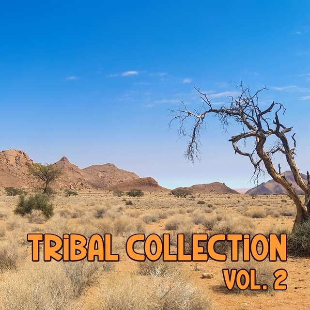 Couverture de Tribal collection vol. 2