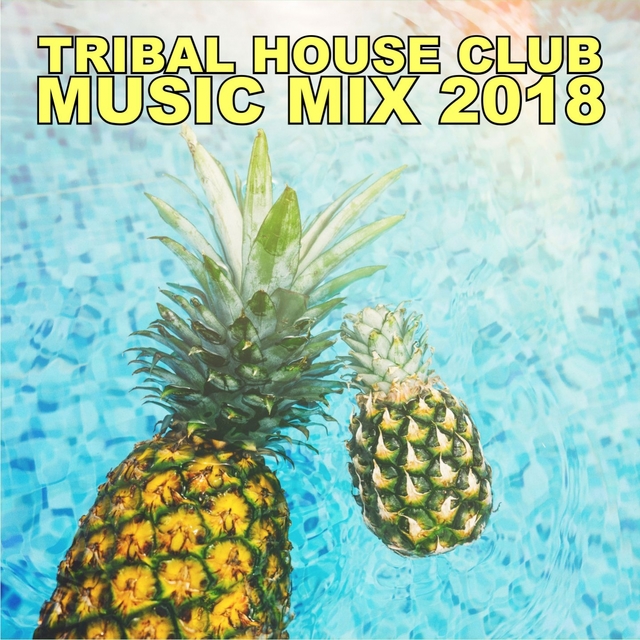 Couverture de Tribal House Club Music Mix 2018