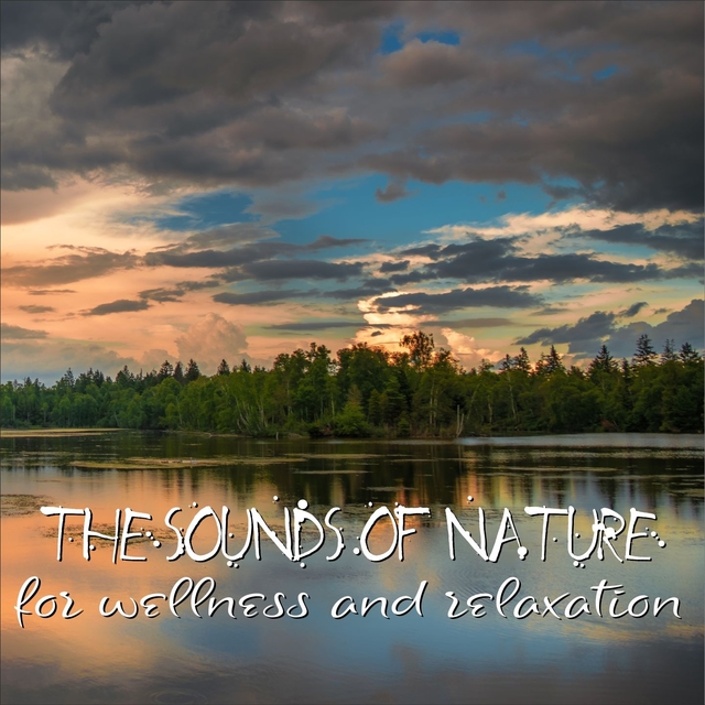The sounds of nature for wellness and relaxation