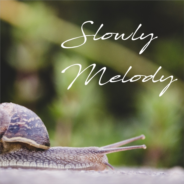 Couverture de Slowly Melody