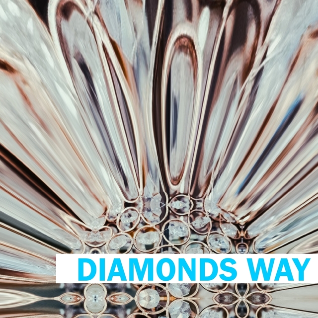 Couverture de Diamonds Way