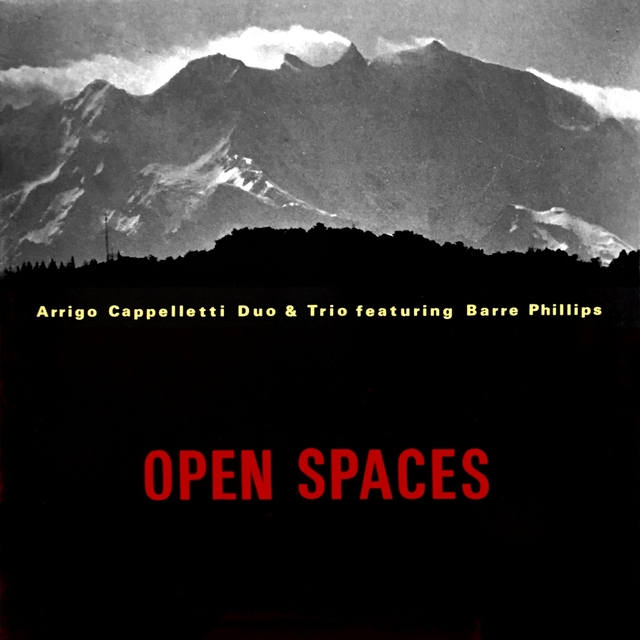 Couverture de Open Spaces