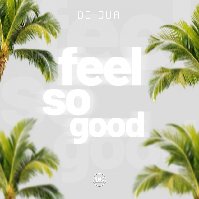 Couverture de Feel So Good