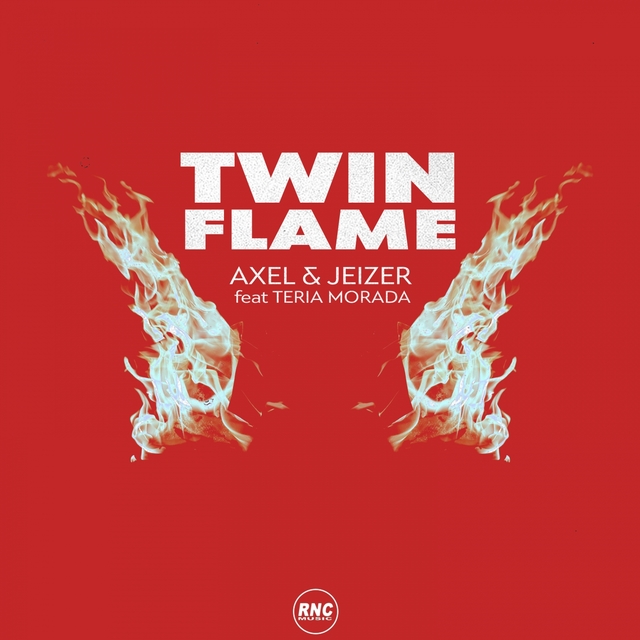 Couverture de Twin Flame