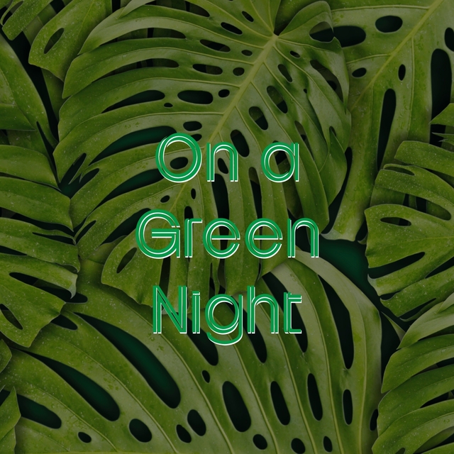 Couverture de On a Green Night