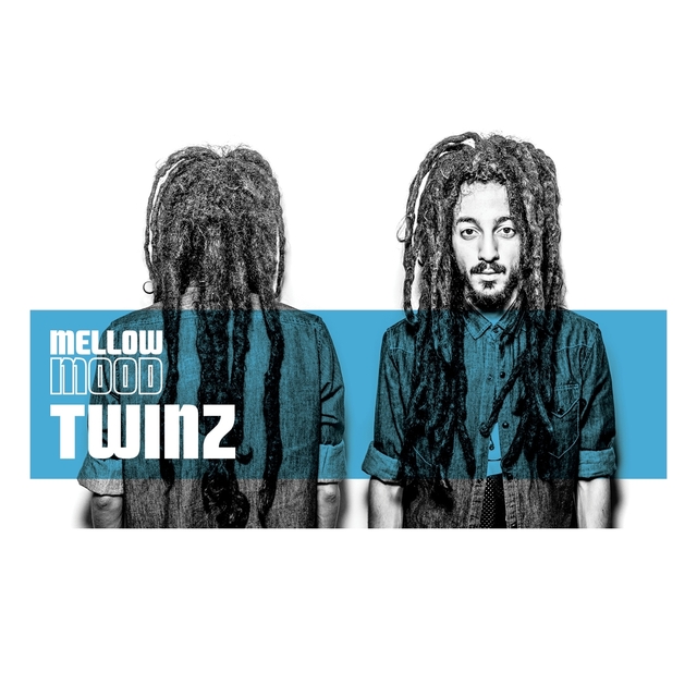 Couverture de Twinz