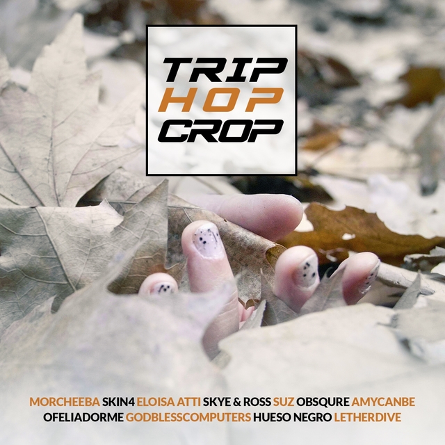 Couverture de TRIP HOP CROP