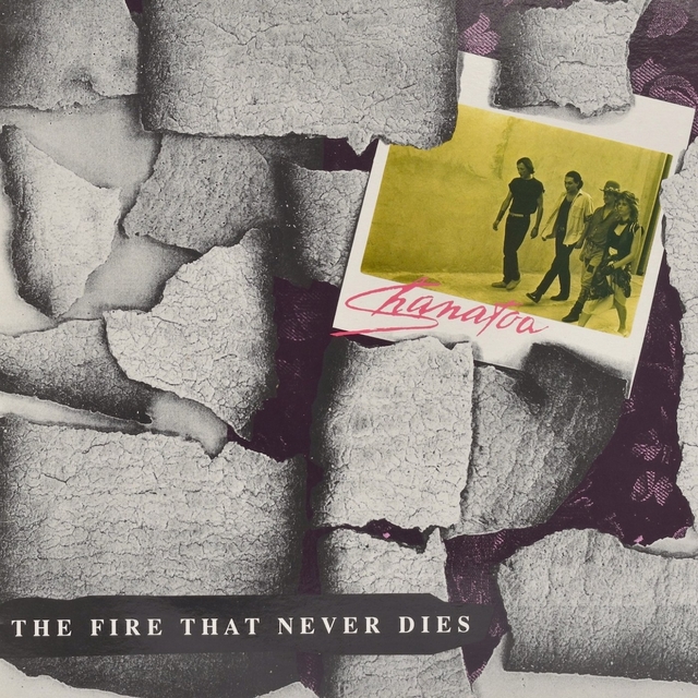 Couverture de The Fire That Never Dies