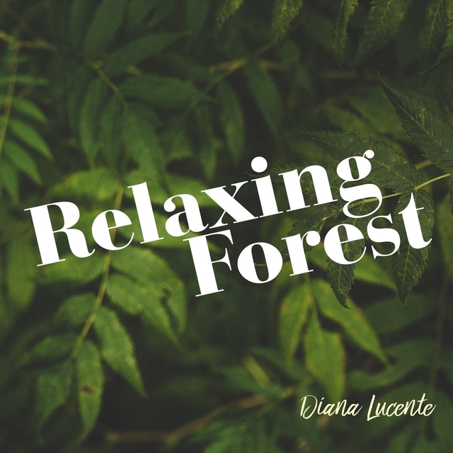 Relaxing Forest