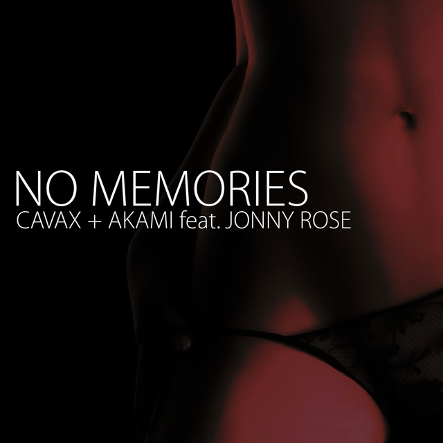 Couverture de No Memories