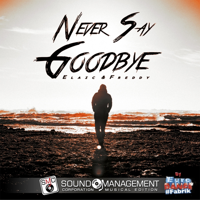 Couverture de Never Say Goodbye