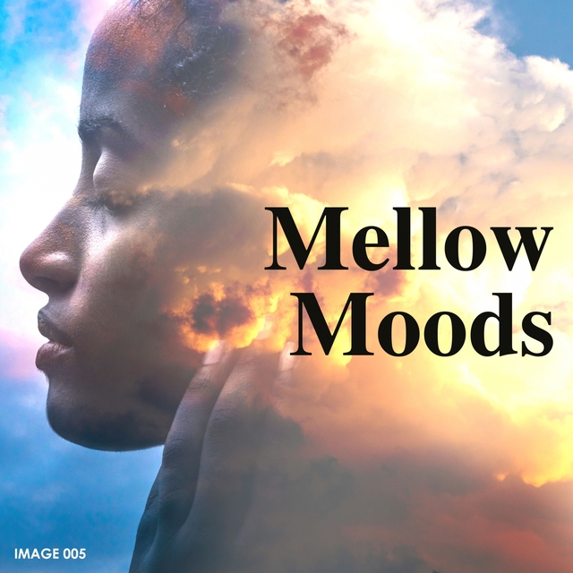 Couverture de Mellow Moods