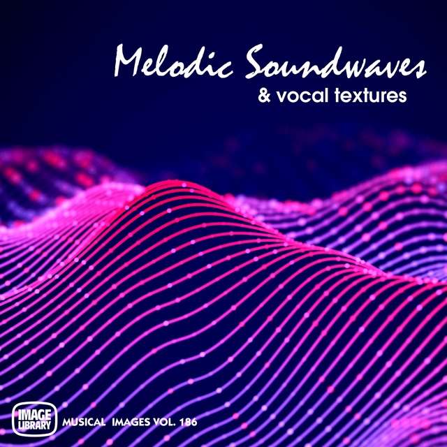 Couverture de Melodic Soundwaves & Vocal Textures