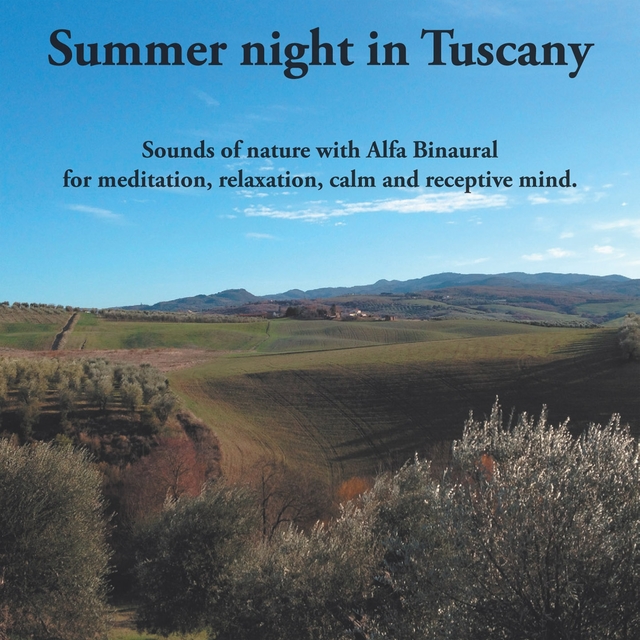 Summer Night in Tuscany