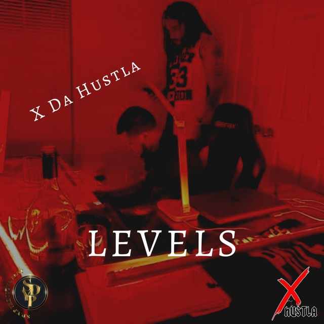 Couverture de Levels