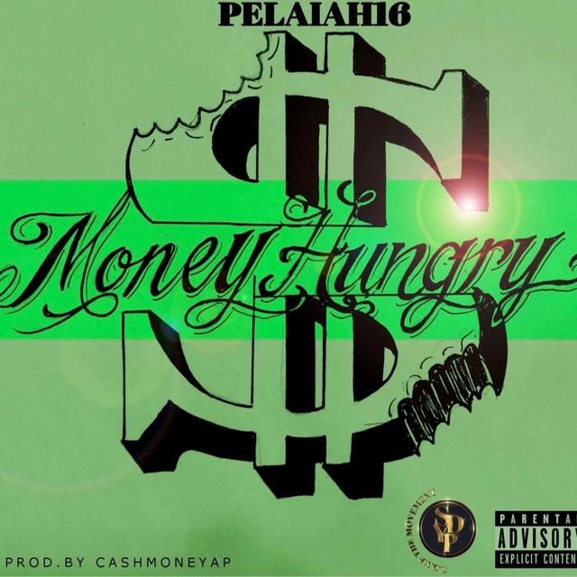 Couverture de Money Hungry