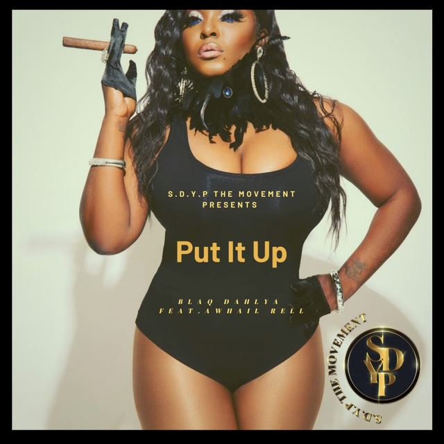 Couverture de Put It Up