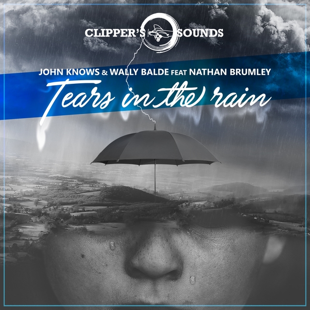 Couverture de Tears in the Rain